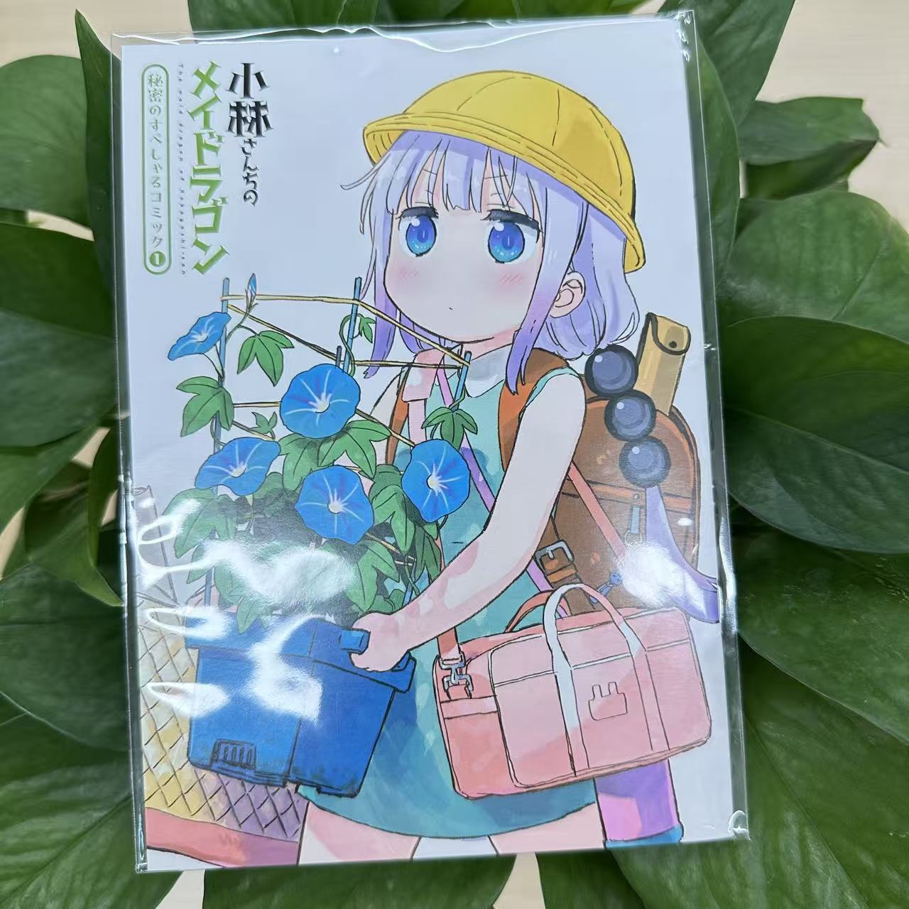 アルバム