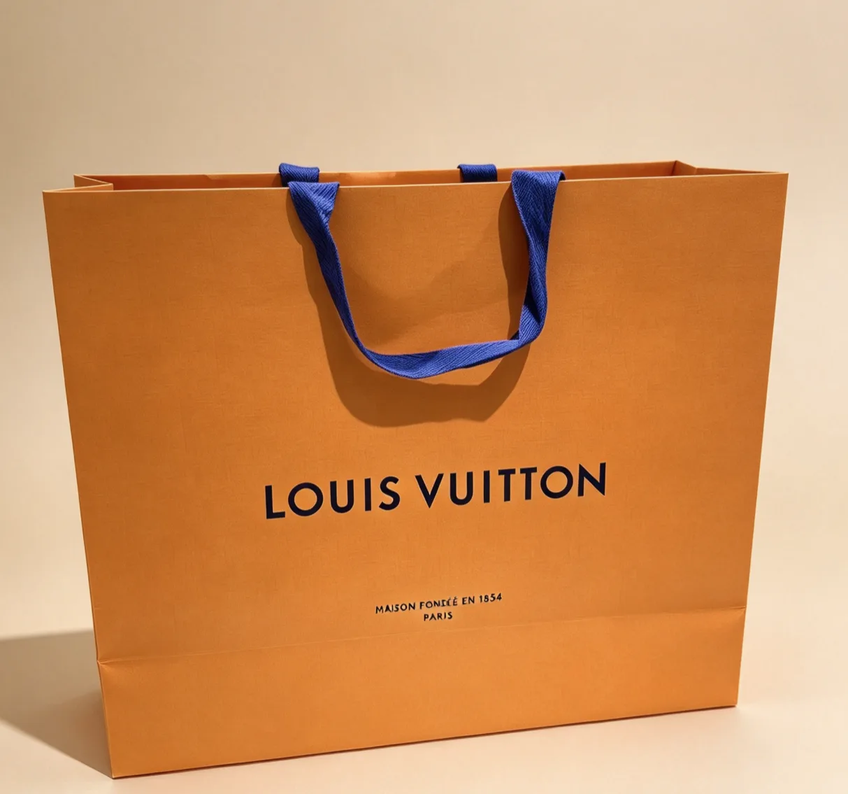LV paper bag